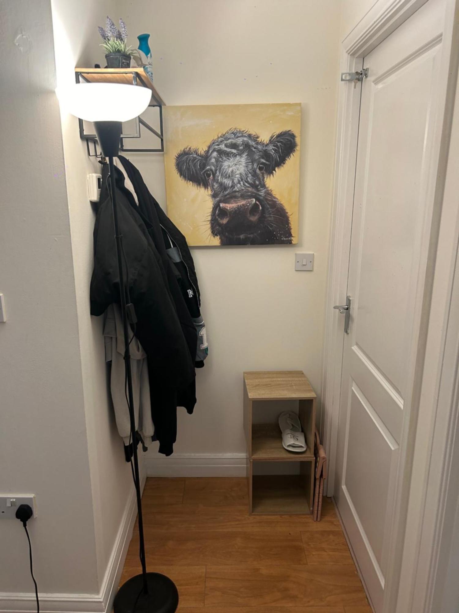 شقة Beautiful 1 Bed In Wycombe هاي ويكومبْ المظهر الخارجي الصورة